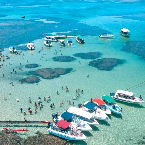 TRANSFER BOIPEBA