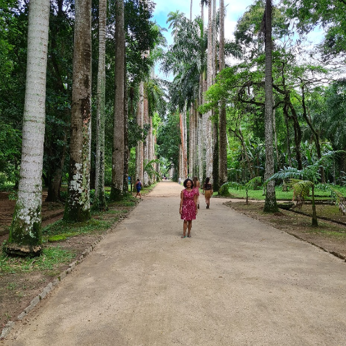 Jardim botânico