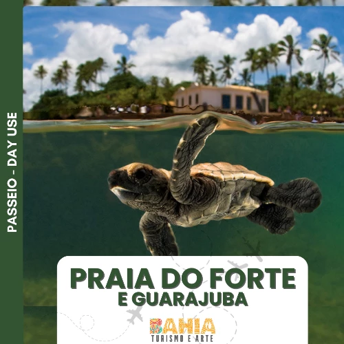 DAY USE PRAIA DO FORTE E GUARAJUBA