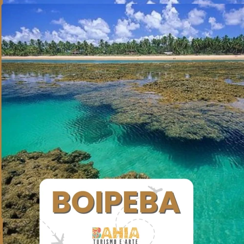 TRANSFER BOIPEBA